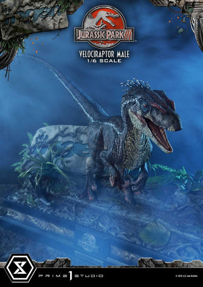Jurassic World III - Velociraptor Male (Bonus Version) 1/6 Scale Statue