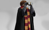 Harry Potter - Ron Weasley Deluxe InArt 1/6 Scale Figure