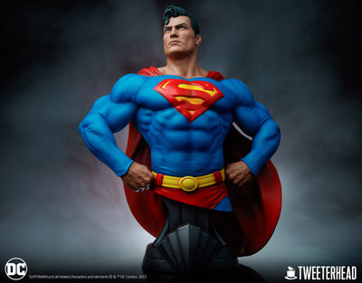 Superman 1/3 Scale Bust