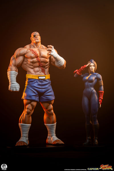 Sagat & Juli 1/10 Scale Statue Set