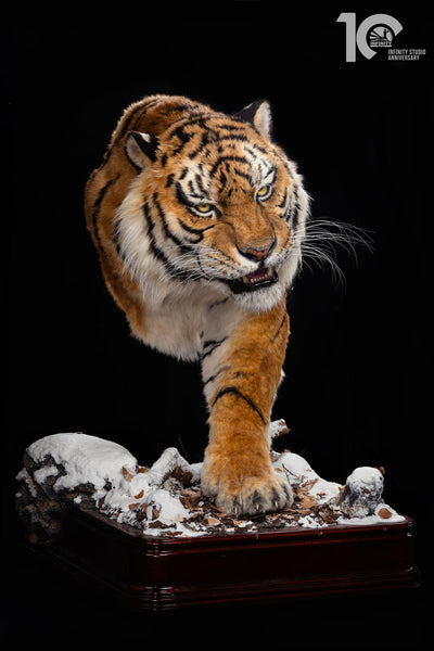 Siberian Tiger Museum-Level Life-Size Replica