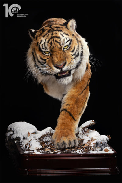 Siberian Tiger Museum-Level Life-Size Replica