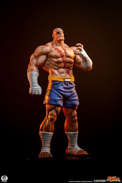 Sagat & Juli 1/10 Scale Statue Set