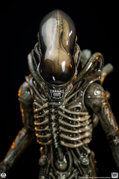 Alien (1979) - Big Chap Xenomorph (Regular) 1/2 Scale Statue