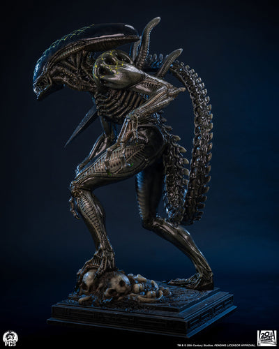 Alien vs. Predator - Grid Alien 1/2 Scale Statue
