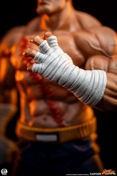 Sagat & Juli 1/10 Scale Statue Set