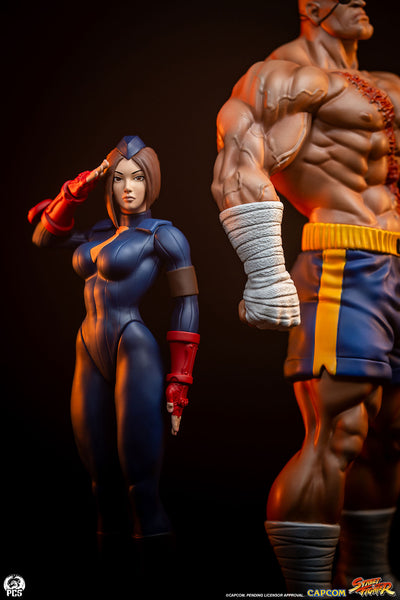 Sagat & Juli 1/10 Scale Statue Set