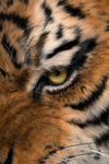 Siberian Tiger Museum-Level Life-Size Replica