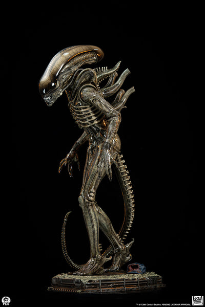Alien (1979) - Big Chap Xenomorph (Regular) 1/2 Scale Statue