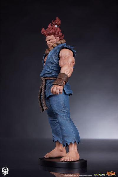 Akuma and Dhalsim 1/10 Scale Statue Set