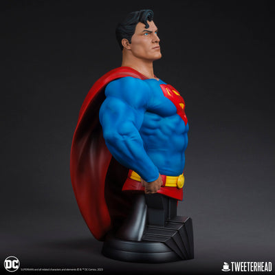 Superman 1/3 Scale Bust