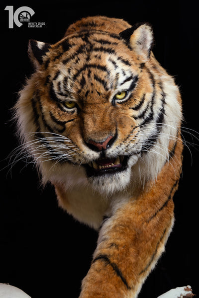 Siberian Tiger Museum-Level Life-Size Replica
