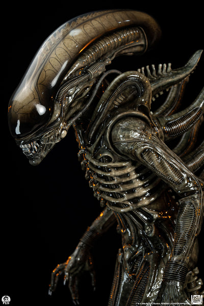 Alien (1979) - Big Chap Xenomorph (Regular) 1/2 Scale Statue