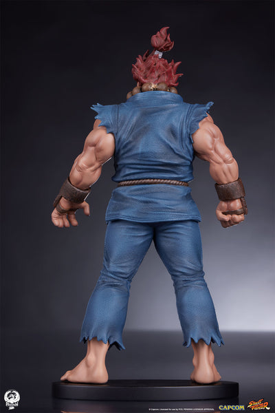 Akuma and Dhalsim 1/10 Scale Statue Set