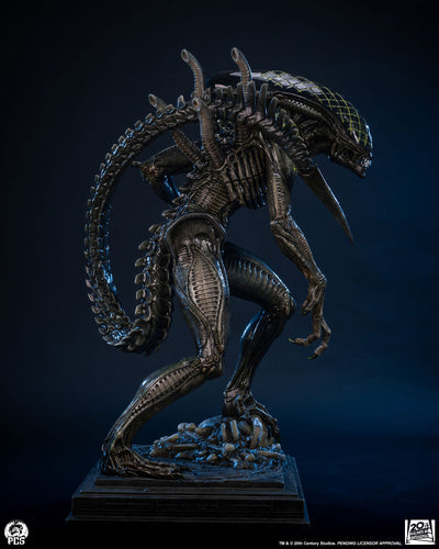 Alien vs. Predator - Grid Alien 1/2 Scale Statue