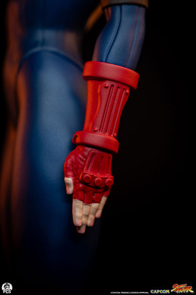 Sagat & Juli 1/10 Scale Statue Set