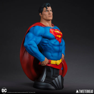 Superman 1/3 Scale Bust