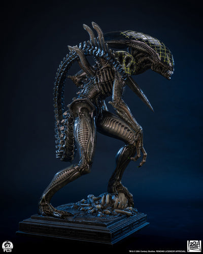 Alien vs. Predator - Grid Alien 1/2 Scale Statue