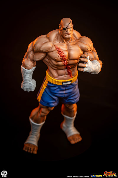 Sagat & Juli 1/10 Scale Statue Set