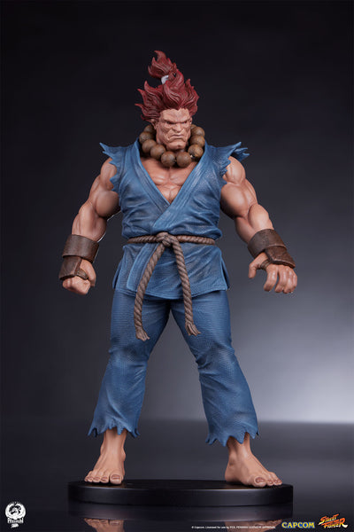 Akuma and Dhalsim 1/10 Scale Statue Set
