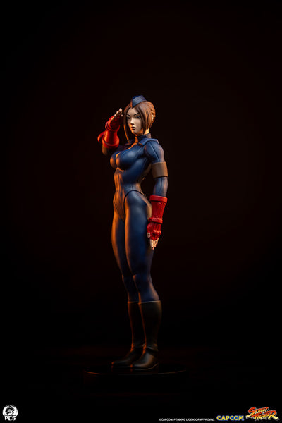 Sagat & Juli 1/10 Scale Statue Set