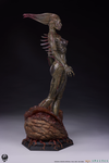 Species 1/3 Scale Statue