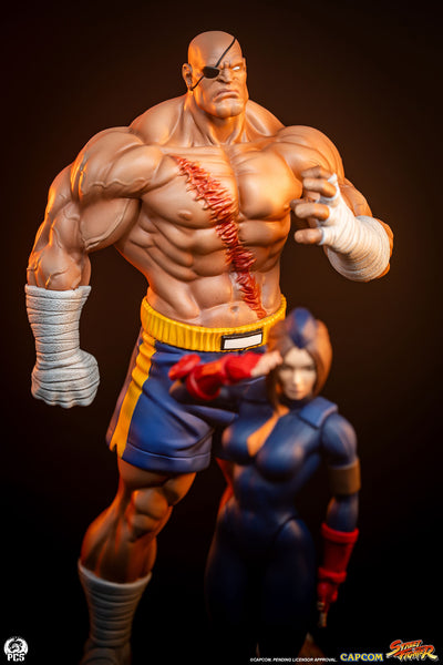 Sagat & Juli 1/10 Scale Statue Set