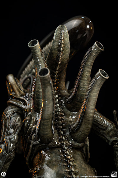 Alien (1979) - Big Chap Xenomorph (Regular) 1/2 Scale Statue