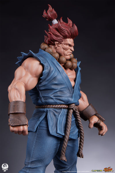 Akuma and Dhalsim 1/10 Scale Statue Set
