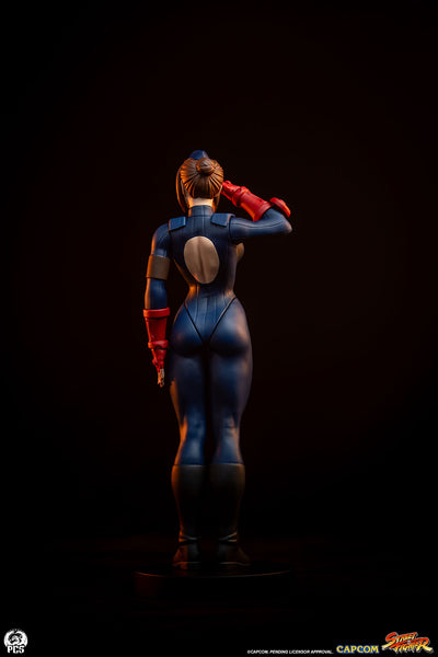 Sagat & Juli 1/10 Scale Statue Set