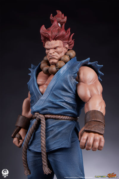Akuma and Dhalsim 1/10 Scale Statue Set