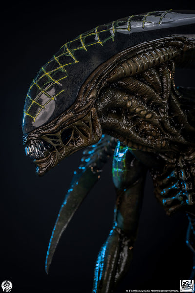 Alien vs. Predator - Grid Alien 1/2 Scale Statue
