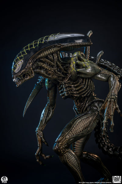 Alien vs. Predator - Grid Alien 1/2 Scale Statue