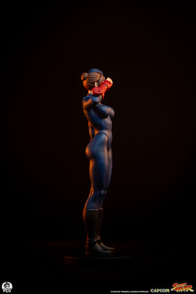 Sagat & Juli 1/10 Scale Statue Set