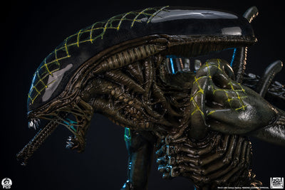 Alien vs. Predator - Grid Alien 1/2 Scale Statue