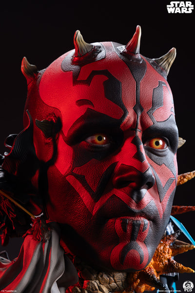 Darth Maul Fine Art Bust