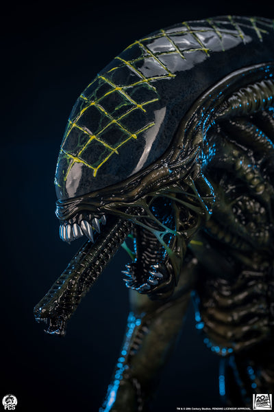 Alien vs. Predator - Grid Alien 1/2 Scale Statue