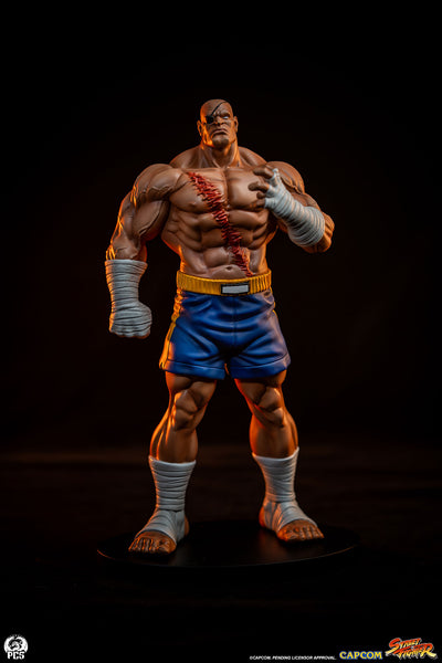 Sagat & Juli 1/10 Scale Statue Set