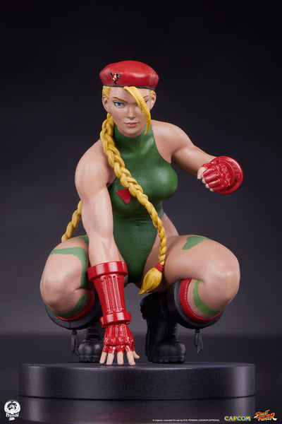 Cammy and Birdie 1/10 Scale Statue Set