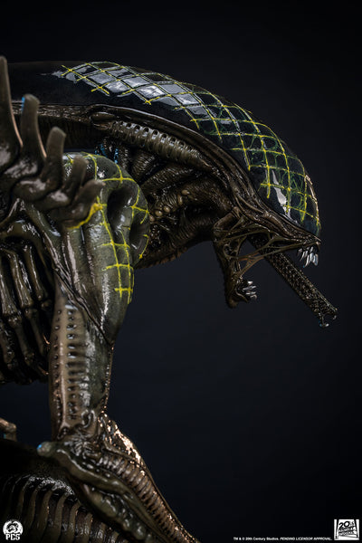 Alien vs. Predator - Grid Alien 1/2 Scale Statue