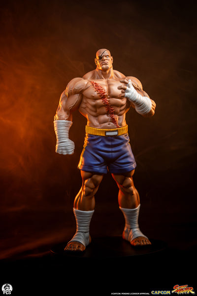 Sagat & Juli 1/10 Scale Statue Set
