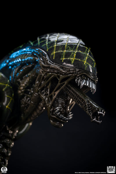 Alien vs. Predator - Grid Alien 1/2 Scale Statue