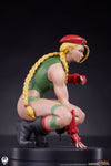 Cammy and Birdie 1/10 Scale Statue Set