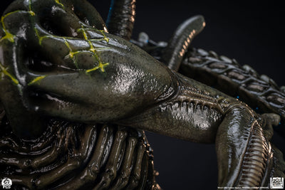 Alien vs. Predator - Grid Alien 1/2 Scale Statue