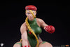 Cammy and Birdie 1/10 Scale Statue Set