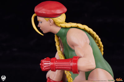 Cammy and Birdie 1/10 Scale Statue Set