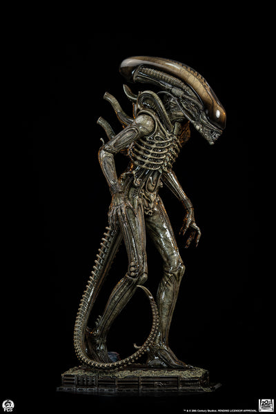 Alien (1979) - Big Chap Xenomorph (Regular) 1/2 Scale Statue