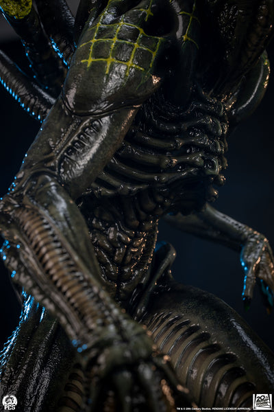 Alien vs. Predator - Grid Alien 1/2 Scale Statue