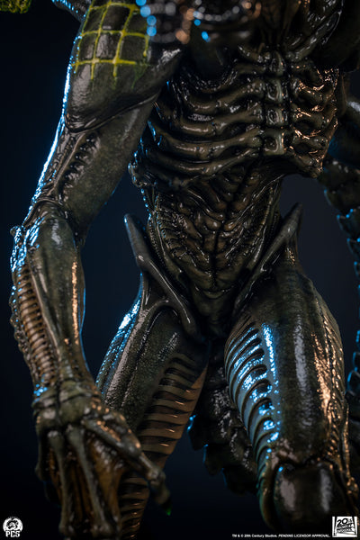 Alien vs. Predator - Grid Alien 1/2 Scale Statue