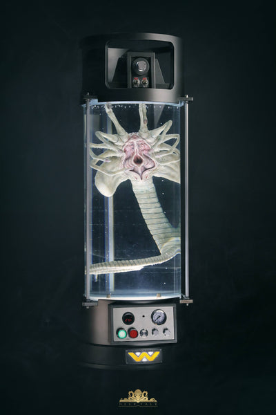 Facehugger Stasis Chamber Life-Size Replica by Deep Tale